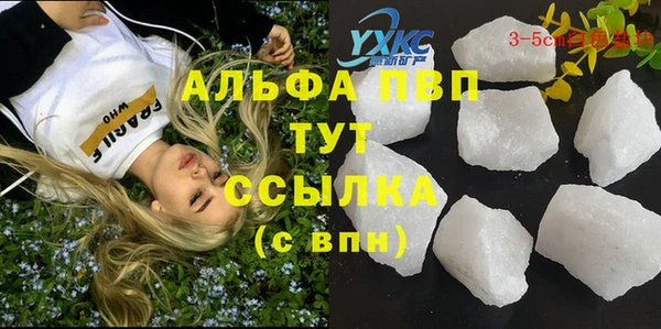 эйфоретик Белокуриха