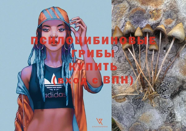 эйфоретик Белокуриха