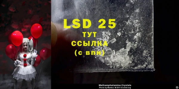эйфоретик Белокуриха