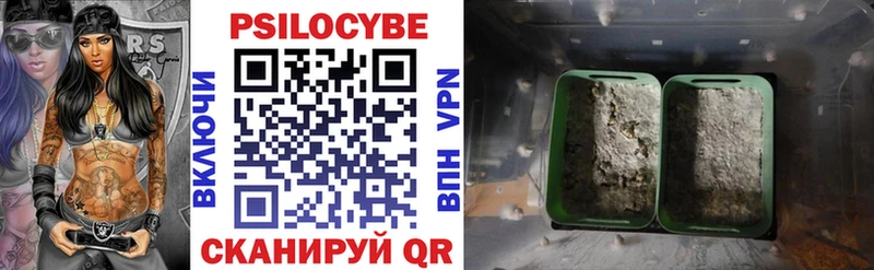 Галлюциногенные грибы ЛСД  Пионерский 